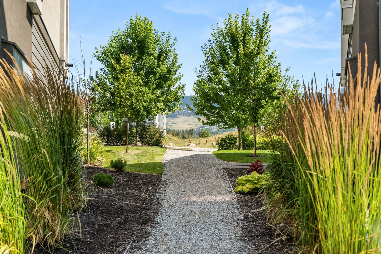 Landscaped pathway with ornamental grasses and young trees at Academy Ridge